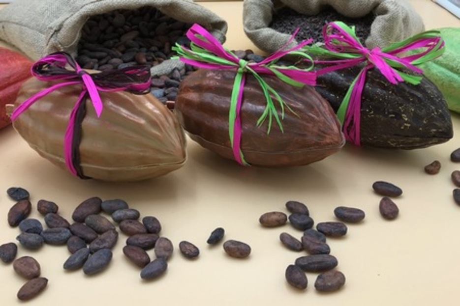 Cabosses du Clos des Feuilletines