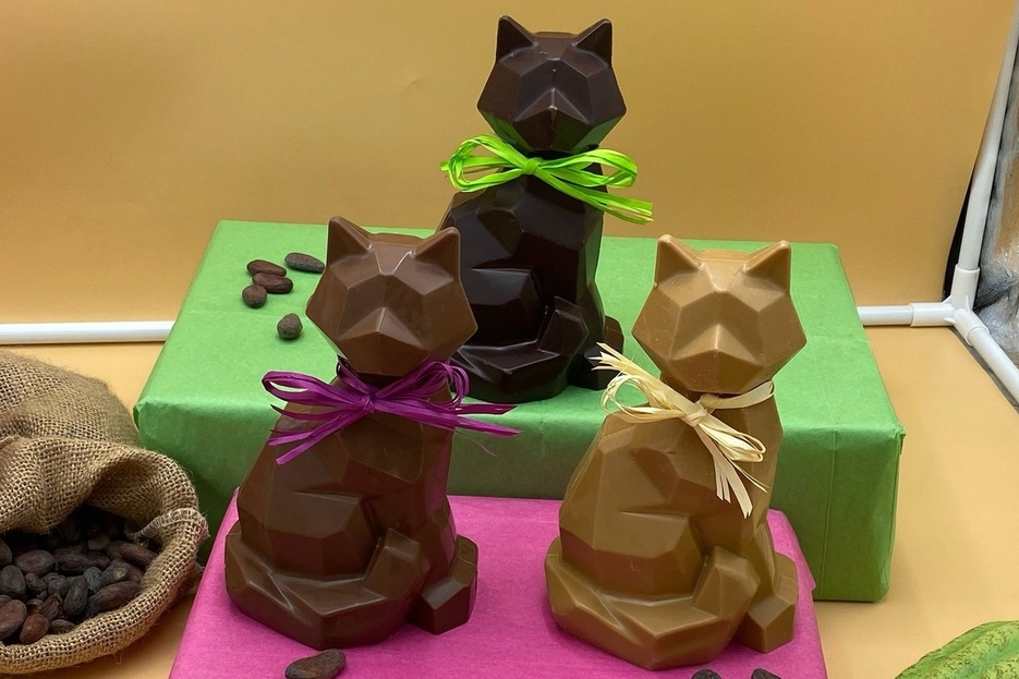 Mimi le chat du Clos des Feuilletines