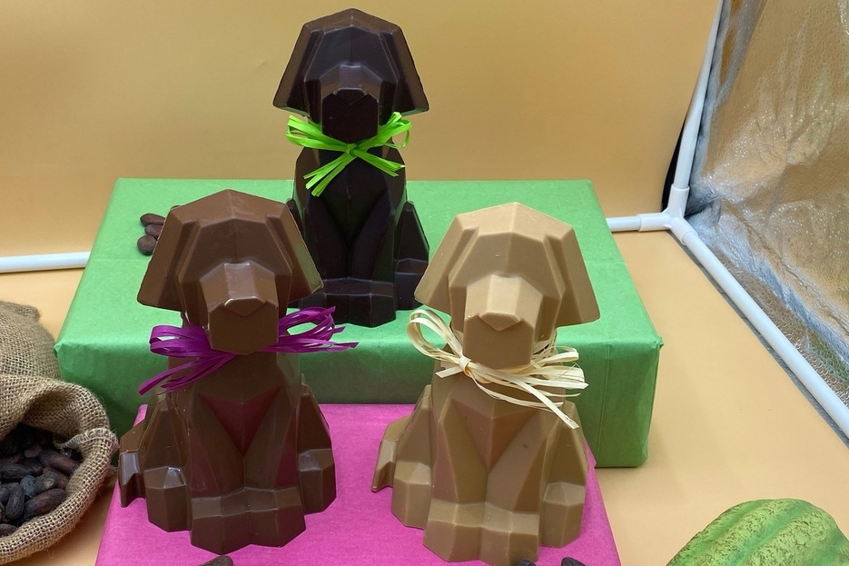 Pluto le Chien du Clos des Feuilletines