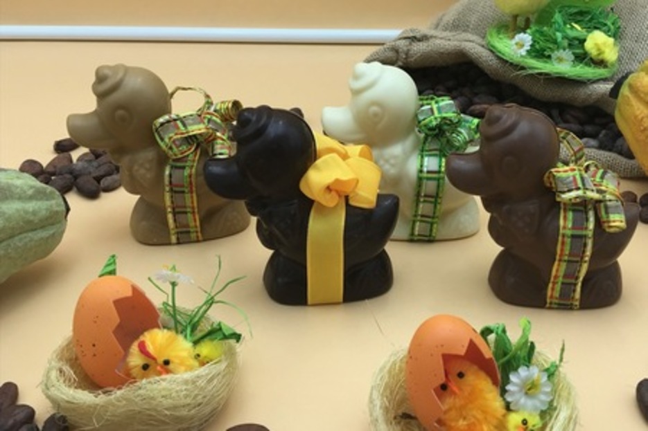 Mini Canard Mini Canard