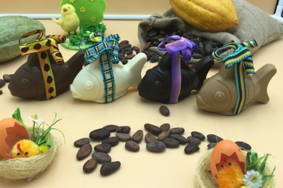 Poisson rond Poisson rond