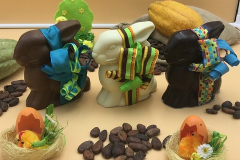 Lapin moyen Lapin moyen