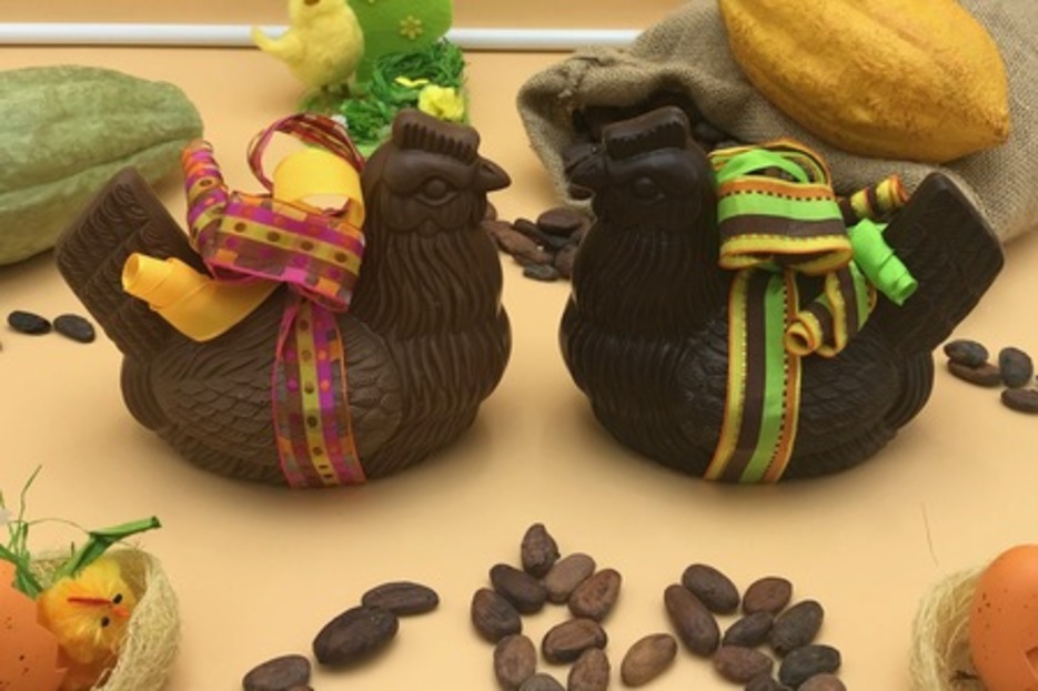 Poule Clusse Poule Clusse