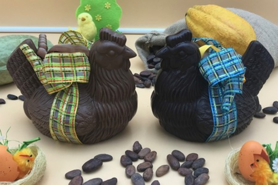 Poule Clusse détaillée - 400g Poule Clusse détaillée - 400g