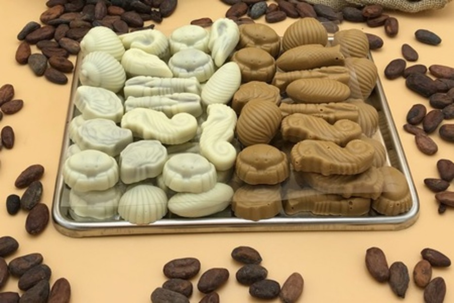 Friture fourr�e - Chocolat blanc et blond-dulcey