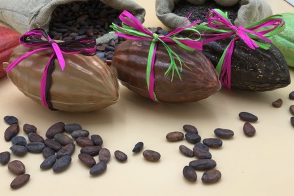 Cabosses du Clos des Feuilletines